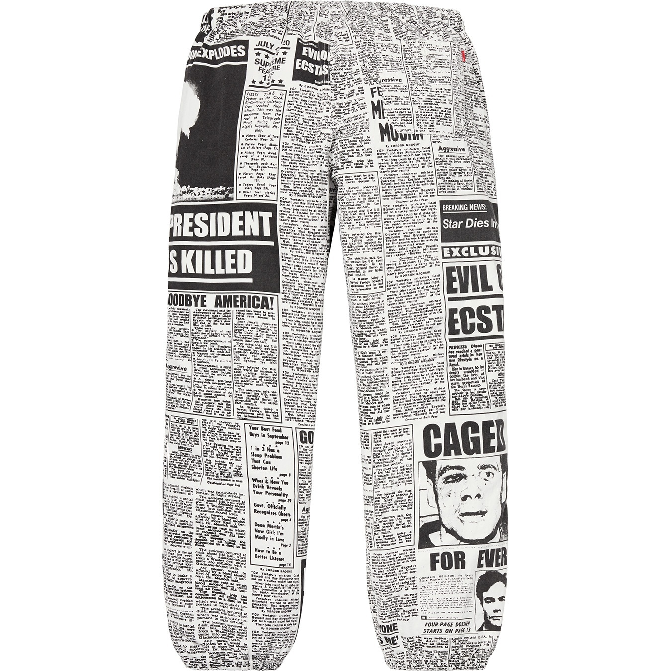 Newsprint Skate Pant view 4